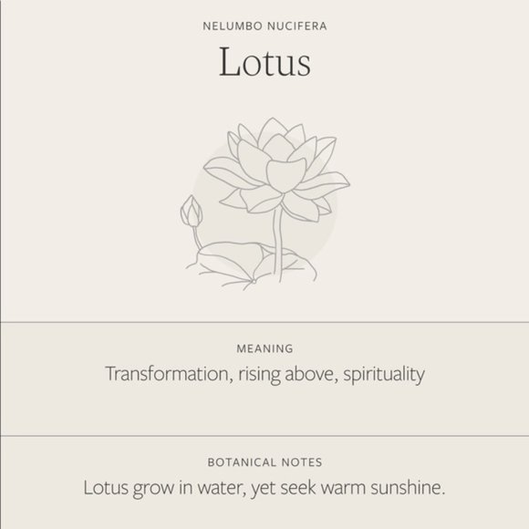 Lotus July Birth Flower Plant Gift Charm Necklace - Picture 5 of 14